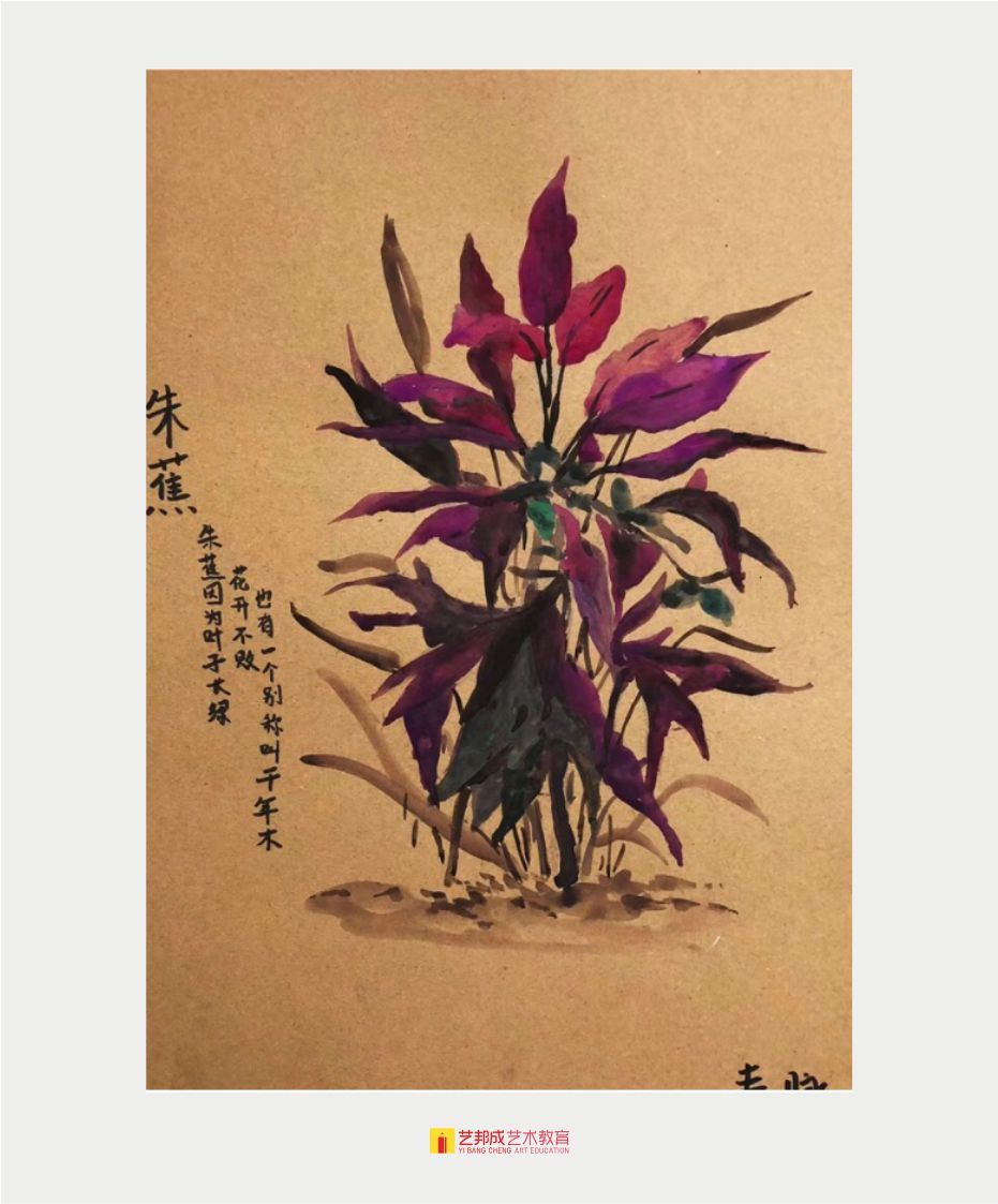 风景写生/12-15岁学员作品