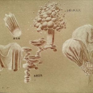 幕布之形/12-15岁学员作品