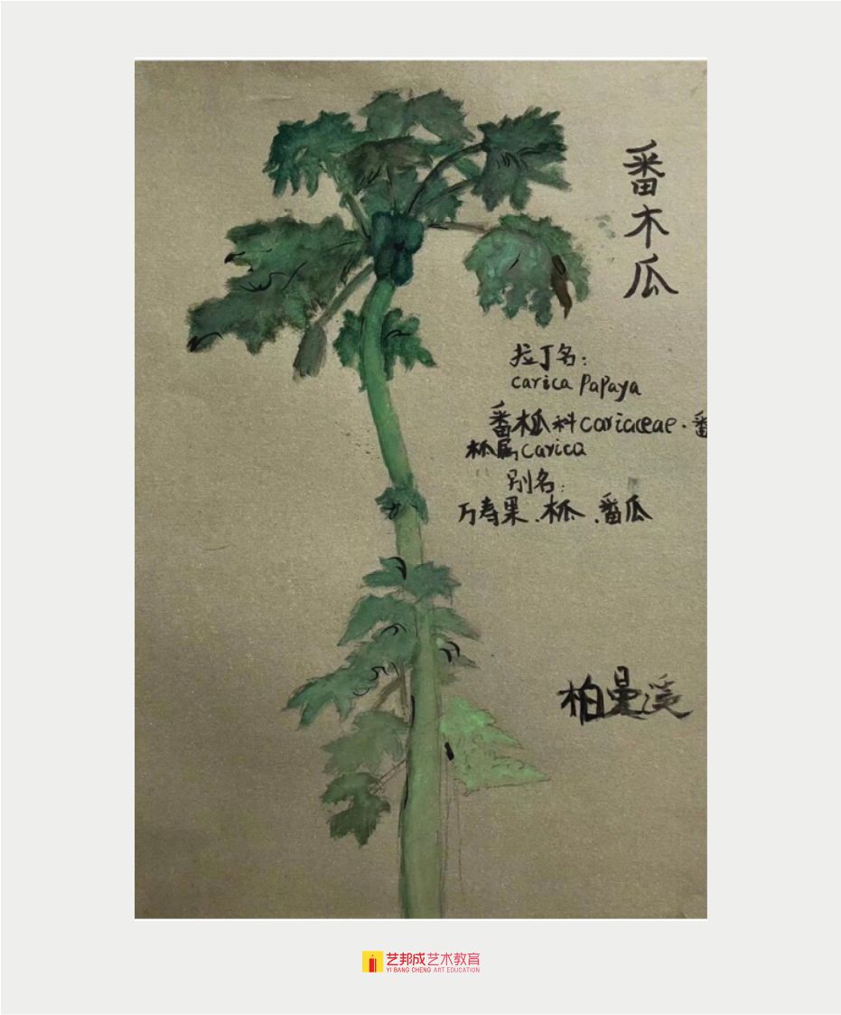 深圳美术培训班